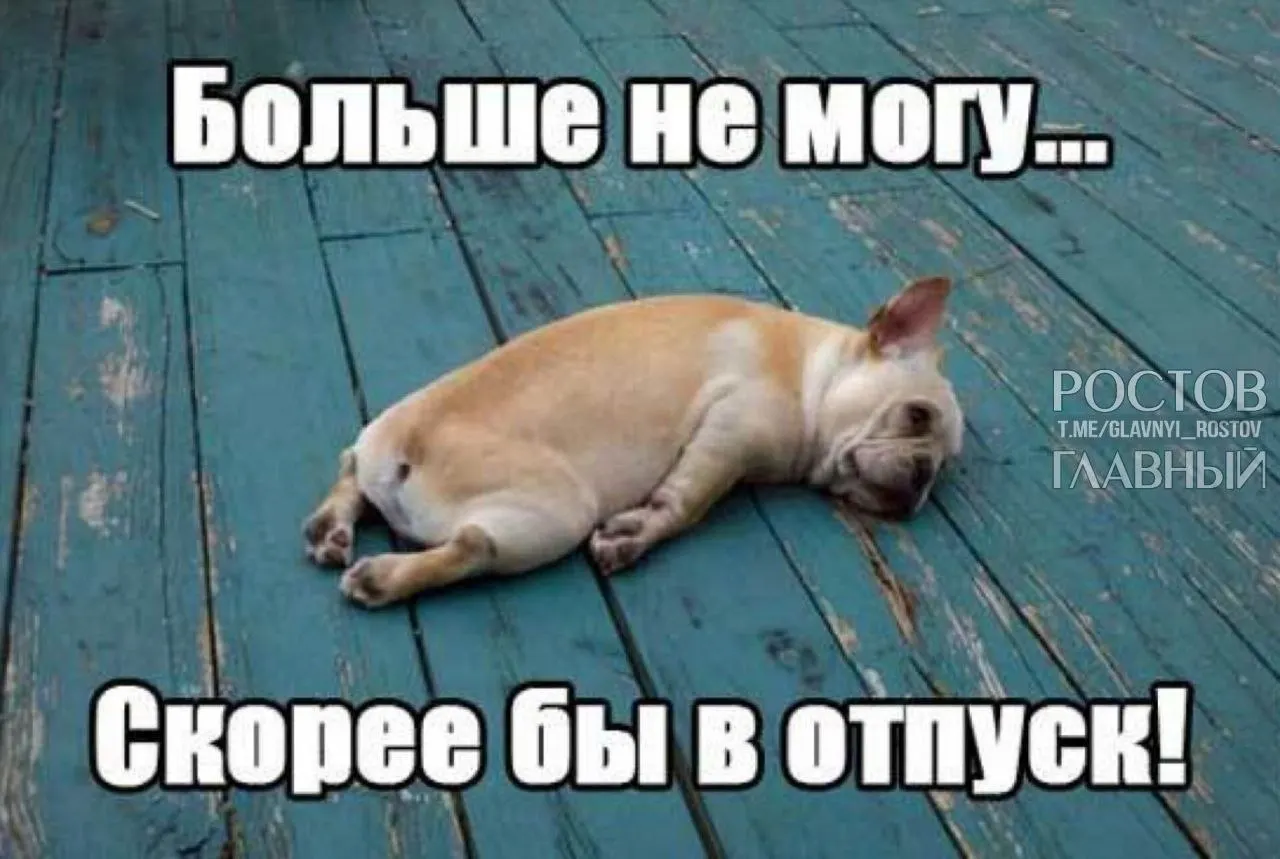 В Госдуме предложили повысить минимальную продолжительность оплачиваемого отпуска до 35 дней, чтобы компенсировать выходные и снизить риск профессионального выгорания.