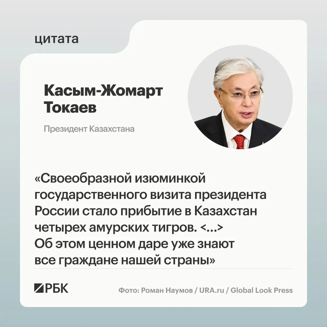Казахстан обратился к России за помощью в восстановлении вида, Москва откликнулась и передала Астане семейство амурских тигров; президентам стран показали презентацию.