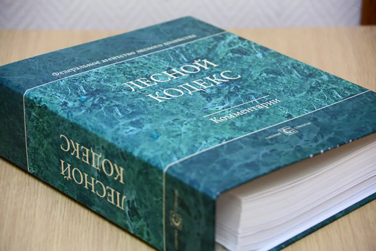 С момента принятия в 2006 году в кодекс внесли 79 наборов поправок, последний из которых начнёт действовать в сентябре. Эксперт по лесам предупреждает, что частые правки делают закон неактуальным и предлагают создать более простой и компактный документ.