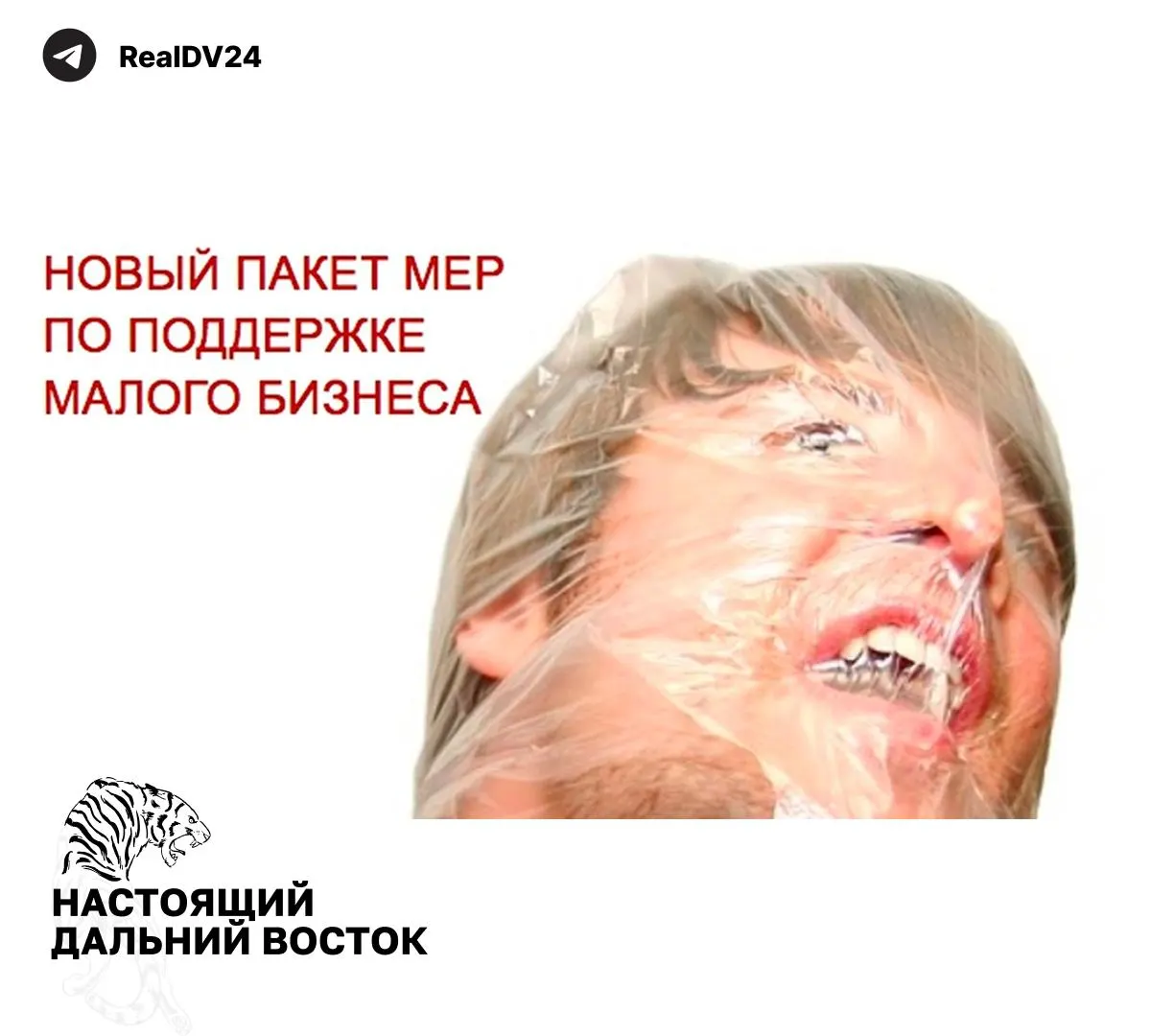 Федеральная налоговая служба направила регионам набор мер для увеличения налоговых поступлений: расширение налогообложения недвижимости по кадастру, повышение транспортного и земельного налогов, пересмотр льгот и усиление контроля за использованием участков.