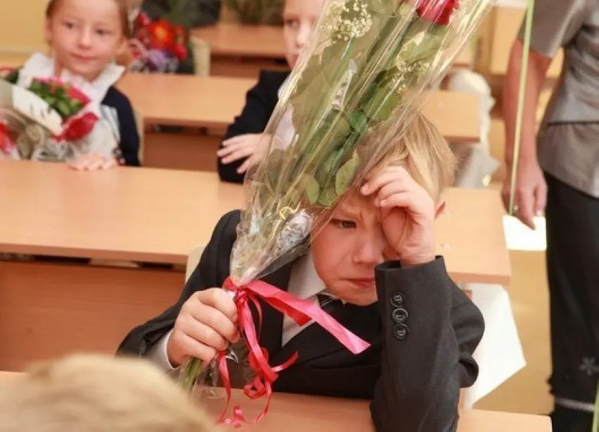 Заместитель главы Минпросвещения сообщил, что 11-летняя система обучения признана оптимальной, и все новые стандарты будут вводиться с расчётом на 11 классов.