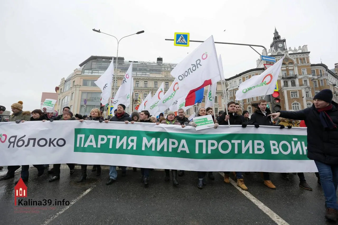 После регистрации федерального списка «Яблока» эксперты высказывают версию, что власть могла позволить участию партии, чтобы перенаправить протестные настроения в относительно безопасное русло и снизить риски для итогов голосования.