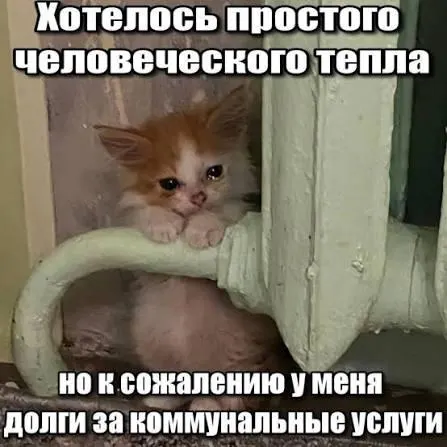 Верховный суд подтвердил, что задолженность по взносам на капитальный ремонт старше трёх лет подпадает под исковую давность и не должна отражаться в платёжных документах. Решение важно для покупателей вторичного жилья и наследников.