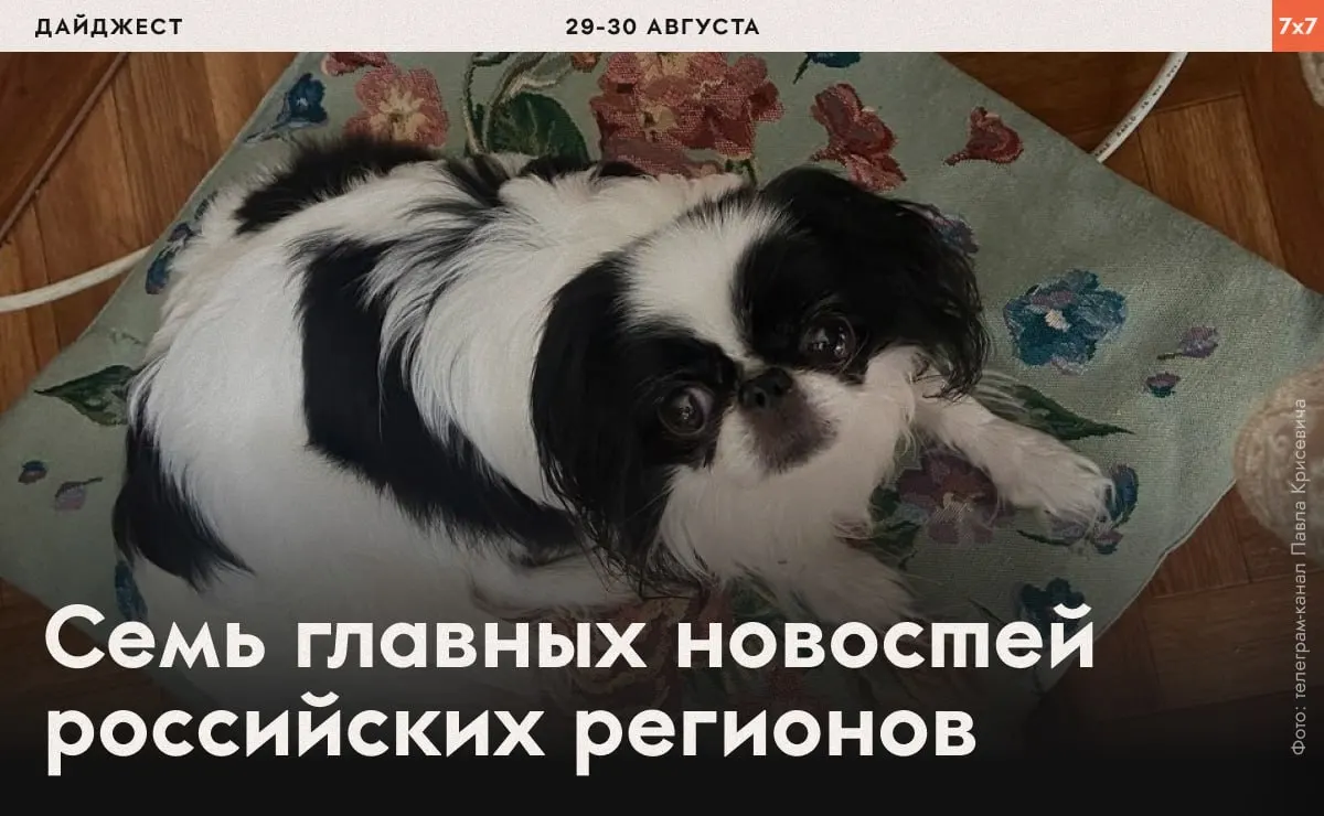 Крупный обзор недавних политических процессов, арестов и региональных запретов, освещающий события по всей стране.