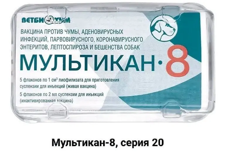 Владельцы животных заявляют о попытках скрыть инциденты после вакцинации и требуют прозрачности расследования; зафиксированы случаи гибели собак в нескольких регионах после прививок вакцинами российского производства.