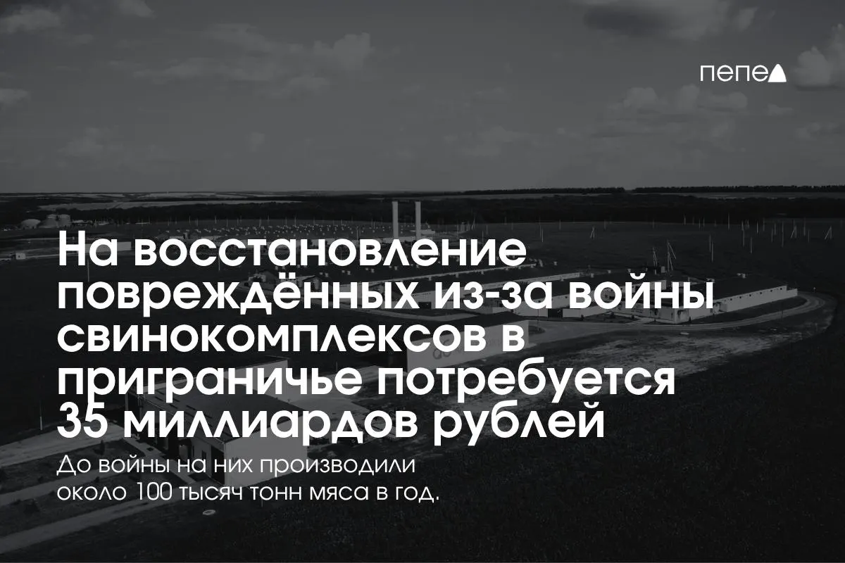 После обстрелов и атак беспилотников планируется восстановление предприятий в приграничье; затраты составят около 35 млрд рублей; часть отрасли была вынуждена временно приостановить работу.