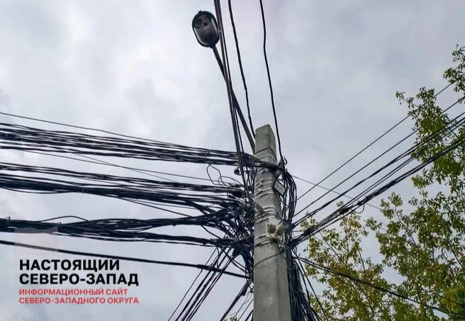 ФАС предлагает включать расходы на защиту электросетей и восстановление повреждений в тарифы на передачу электроэнергии; это коснётся бизнеса и обычных потребителей.